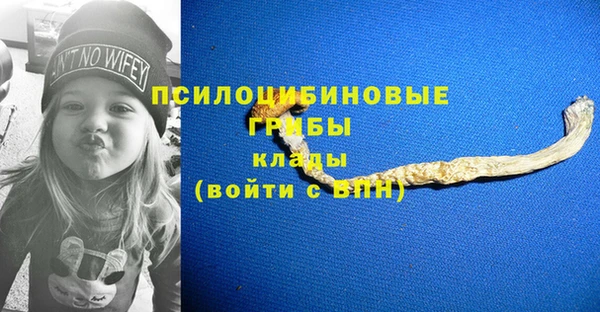 дмт Алексин