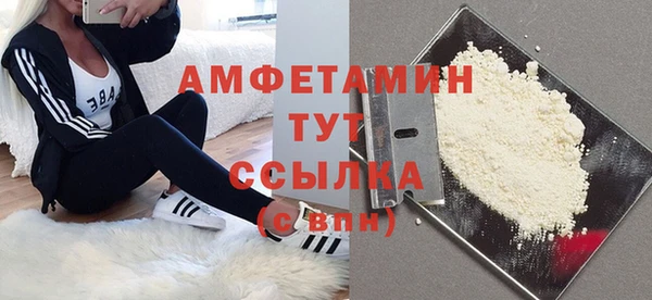 дмт Алексин
