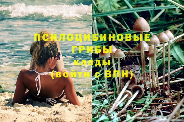 spice Алексеевка