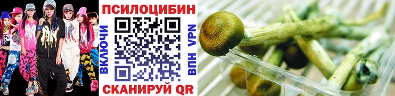дарнет шоп Поронайск Псилоцибиновые грибы Magic Shrooms