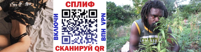 Бошки Шишки гибрид  купить закладку  Поронайск 